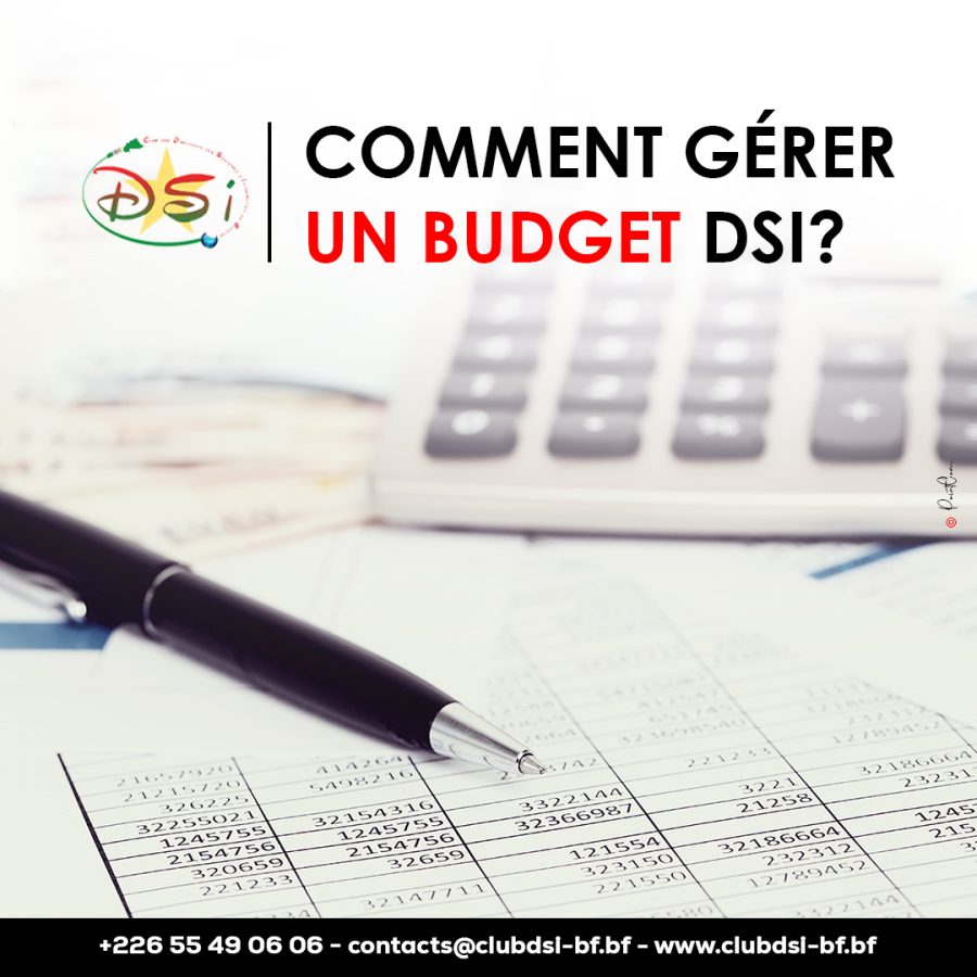 Comment gérer un budget DSI ?